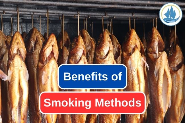 7 Benefits Of Smoking Methods On Fish Preservation